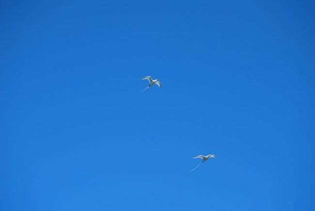 20080425_150659-sjb